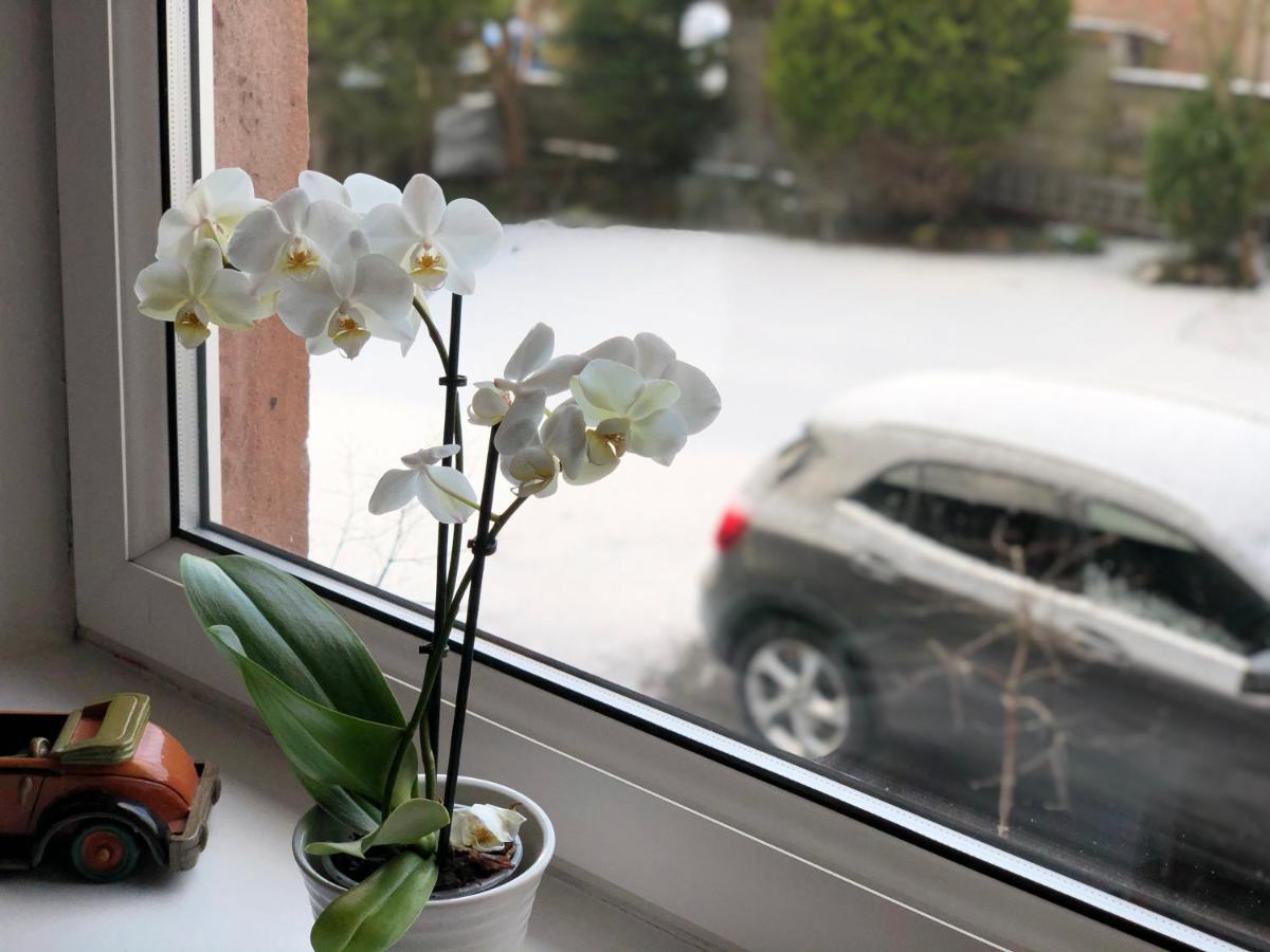 Carisbrooke Guest House Инвернесс Экстерьер фото